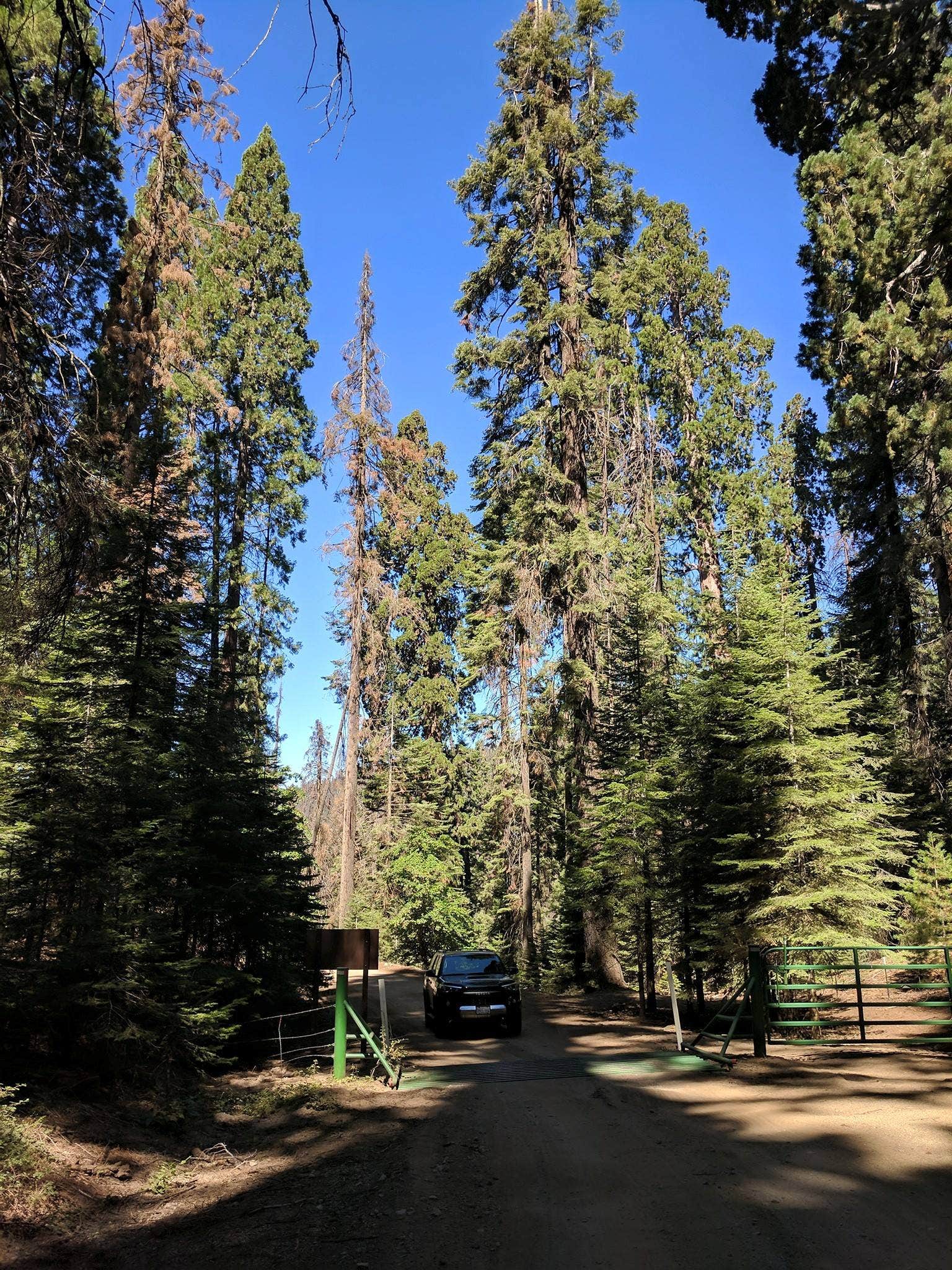 Camper submitted image from Eshom Campground - 2