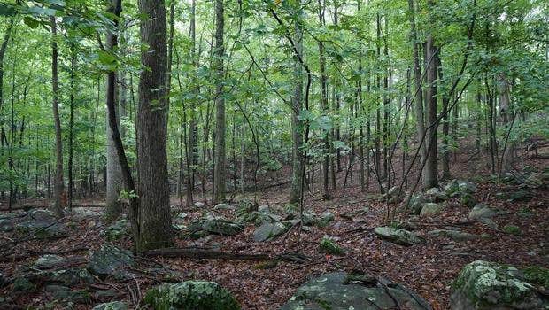Camper-submitted photo at Sixes River Recreation Site near Sixes, OR