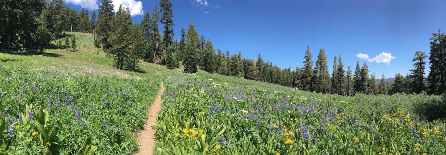 Camper-submitted photo at Sixes River Recreation Site near Sixes, OR