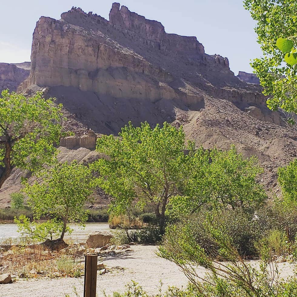 Camper submitted image from Swasey's Beach Campground — Desolation Canyon - 2