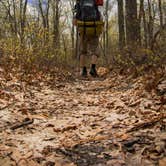 Review photo of Shenandoah National Park Dispersed Sites — Shenandoah National Park by Shari  G., May 3, 2018