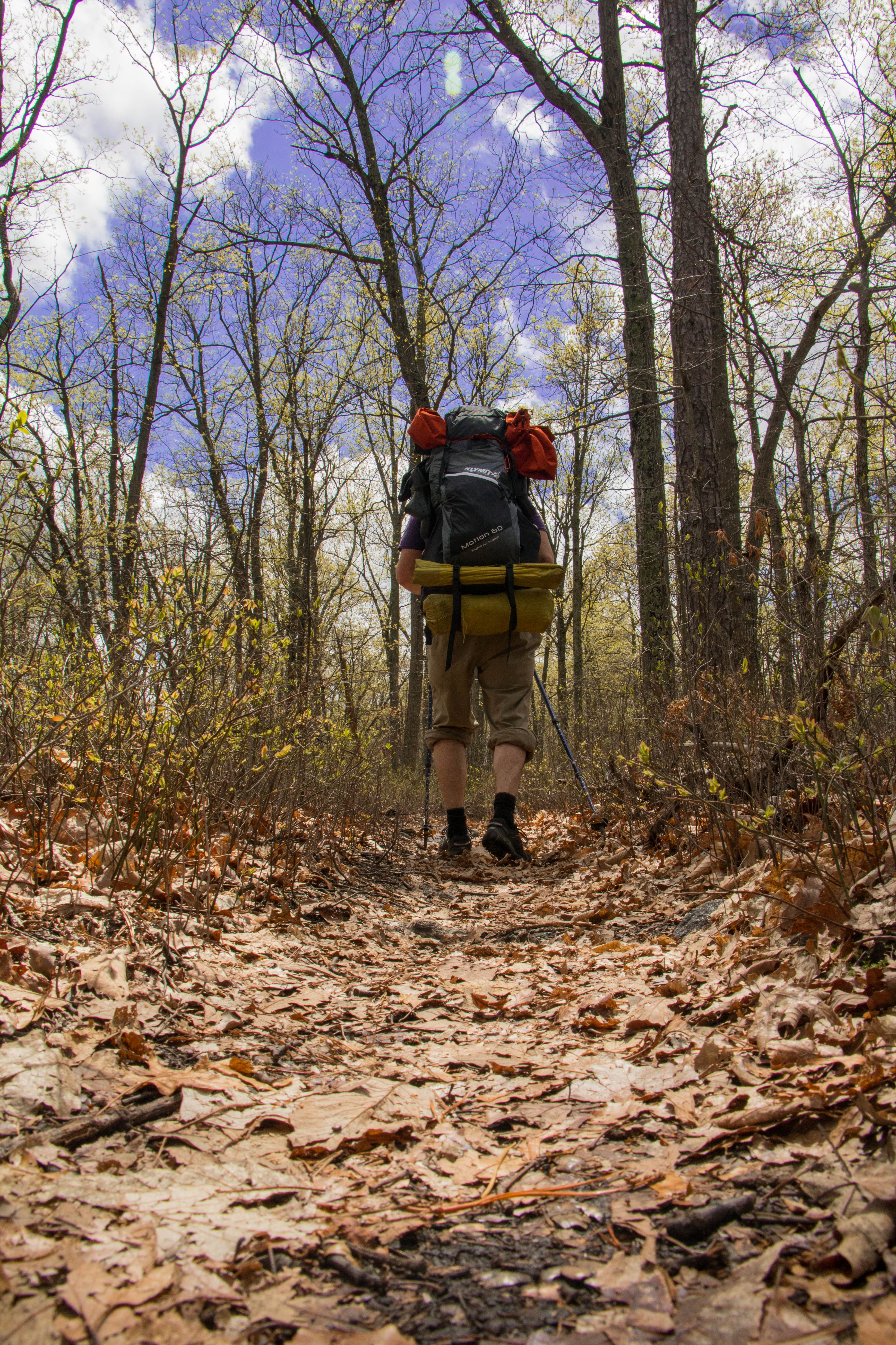 Camper submitted image from Shenandoah National Park Dispersed Sites — Shenandoah National Park - 4