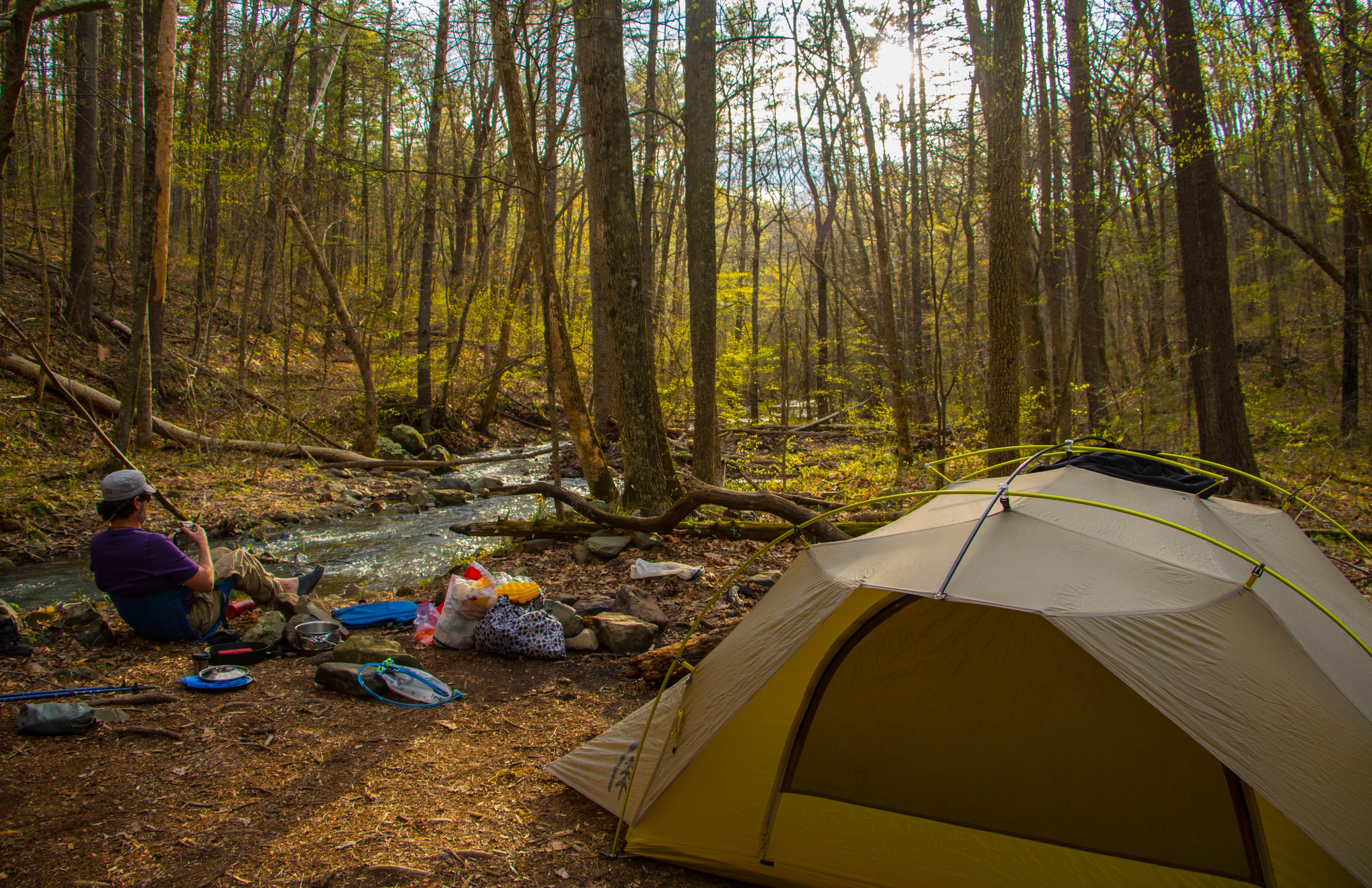 Shari  G.'s photo of a dispersed camping area at Shenandoah National Park Dispersed Sites — Shenandoah National Park near Dayton, VA