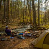 Review photo of Shenandoah National Park Dispersed Sites — Shenandoah National Park by Shari  G., May 3, 2018