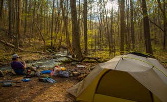 Shari G.'s photo of a dispersed camping area at Shenandoah National Park Dispersed Sites — Shenandoah National Park in Virginia
