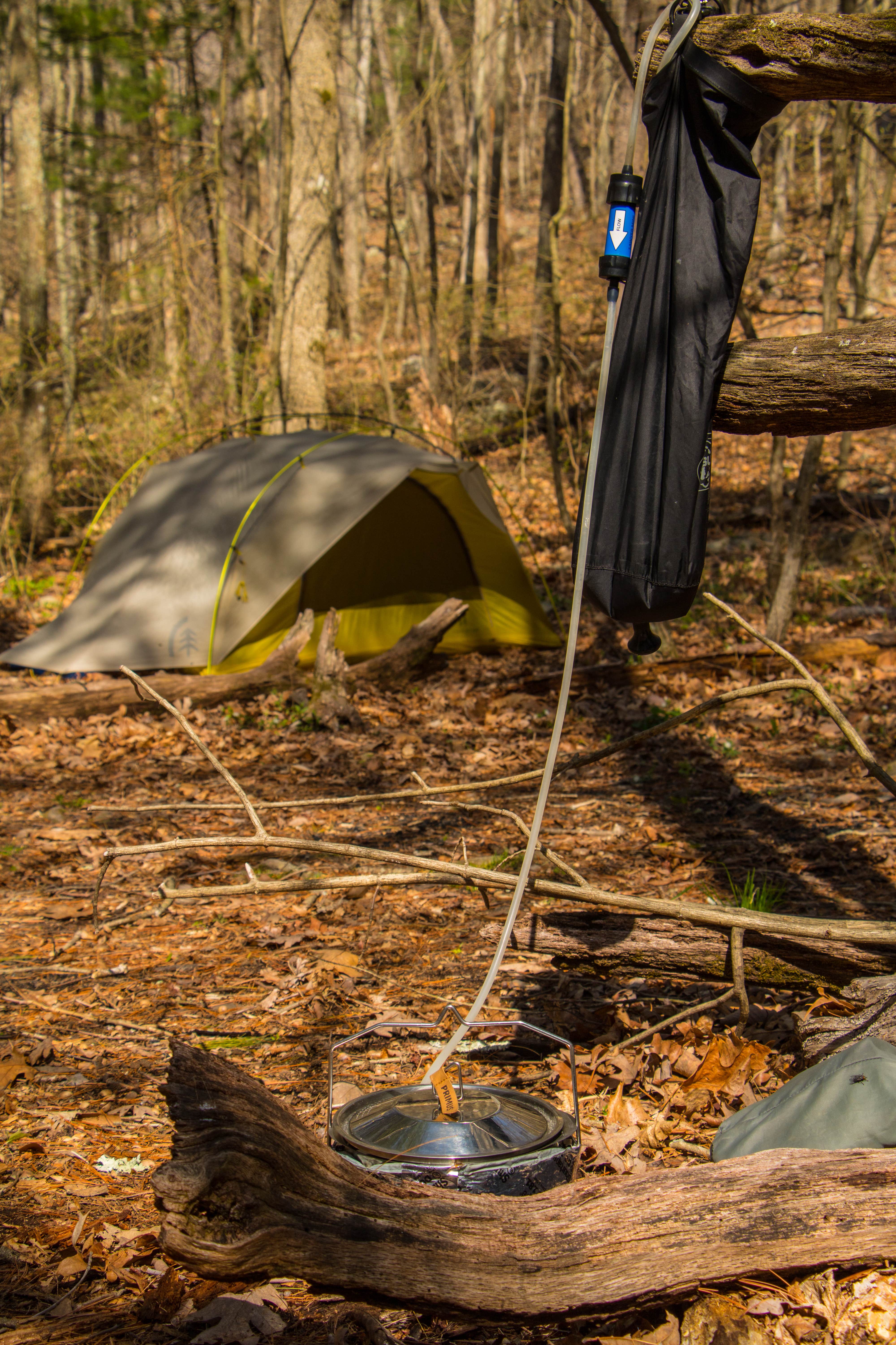 Shari  G.'s photo at Shenandoah National Park Dispersed Sites — Shenandoah National Park near Bentonville, VA