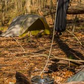 Review photo of Shenandoah National Park Dispersed Sites — Shenandoah National Park by Shari  G., May 3, 2018