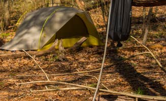 Shari G.'s photo at Shenandoah National Park Dispersed Sites — Shenandoah National Park near Culpeper, VA