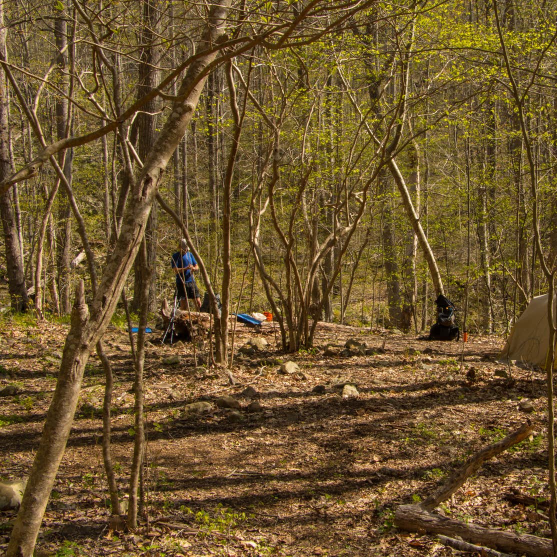 Shenandoah National Park Dispersed Sites Camping The Dyrt