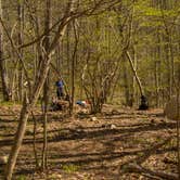 Review photo of Shenandoah National Park Dispersed Sites — Shenandoah National Park by Shari  G., May 3, 2018