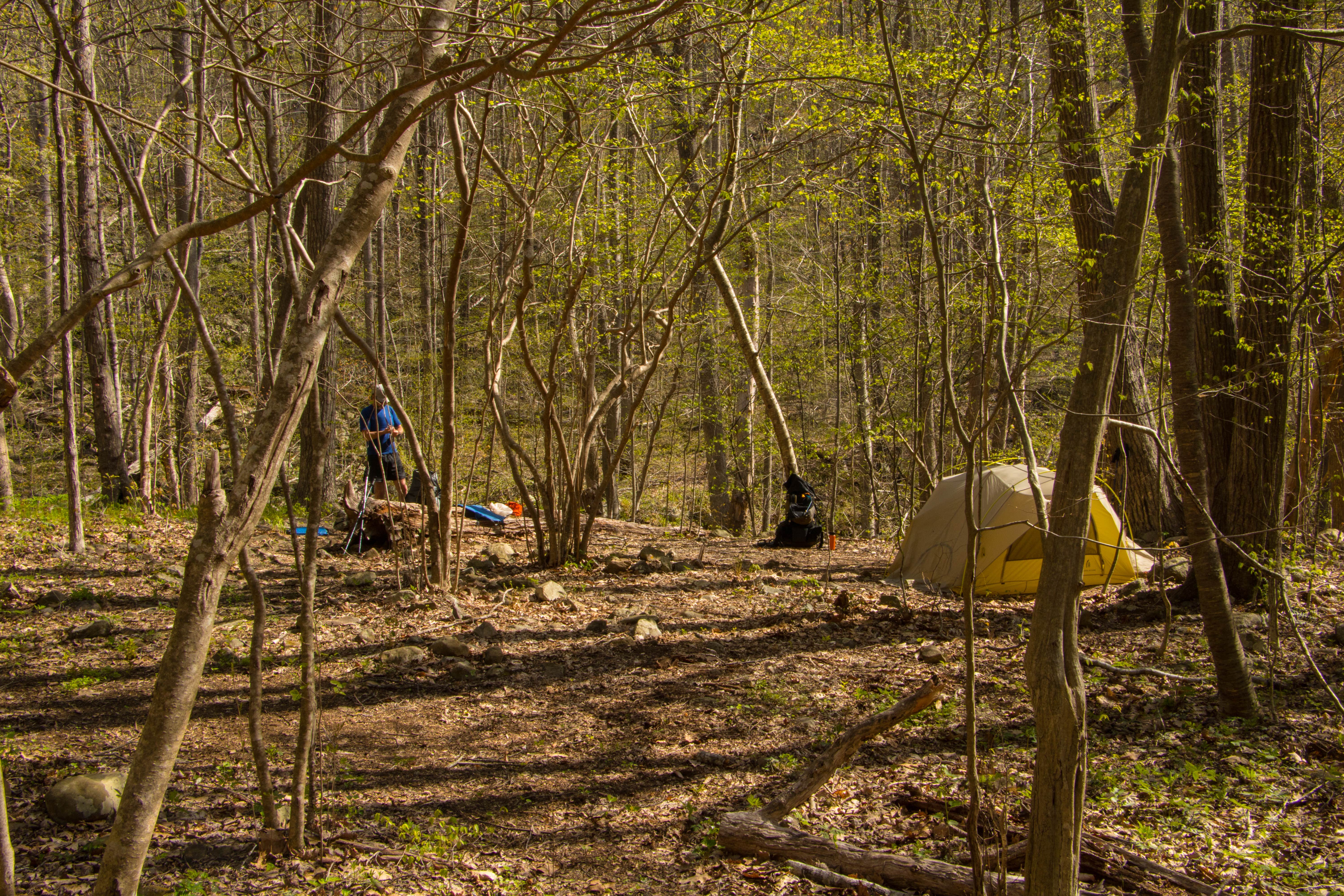 Camper submitted image from Shenandoah National Park Dispersed Sites — Shenandoah National Park - 2