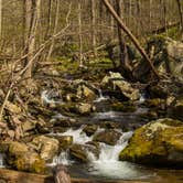 Review photo of Shenandoah National Park Dispersed Sites — Shenandoah National Park by Shari  G., May 3, 2018