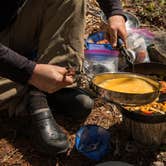 Review photo of Shenandoah National Park Dispersed Sites — Shenandoah National Park by Shari  G., May 3, 2018