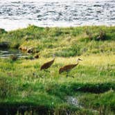 Review photo of Green River Lake Lodge - Bridger Teton National Forest by Dave L., May 3, 2018