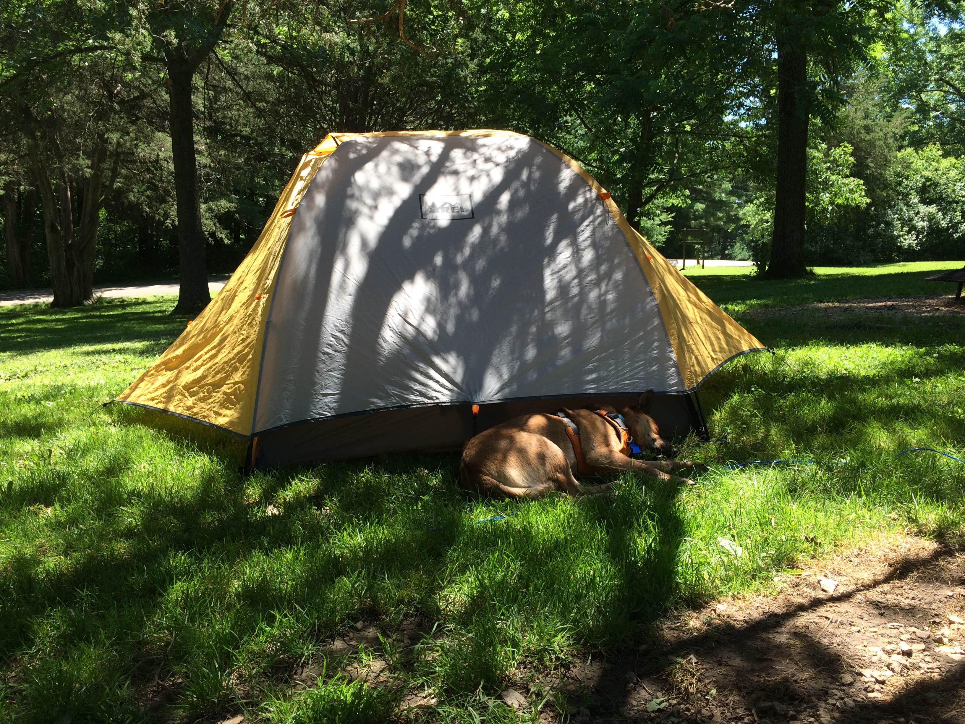 Camper submitted image from White Pines Forest State Park Campground - 3