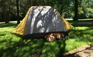 Art S.'s photo at White Pines Forest State Park Campground near Baileyville, IL