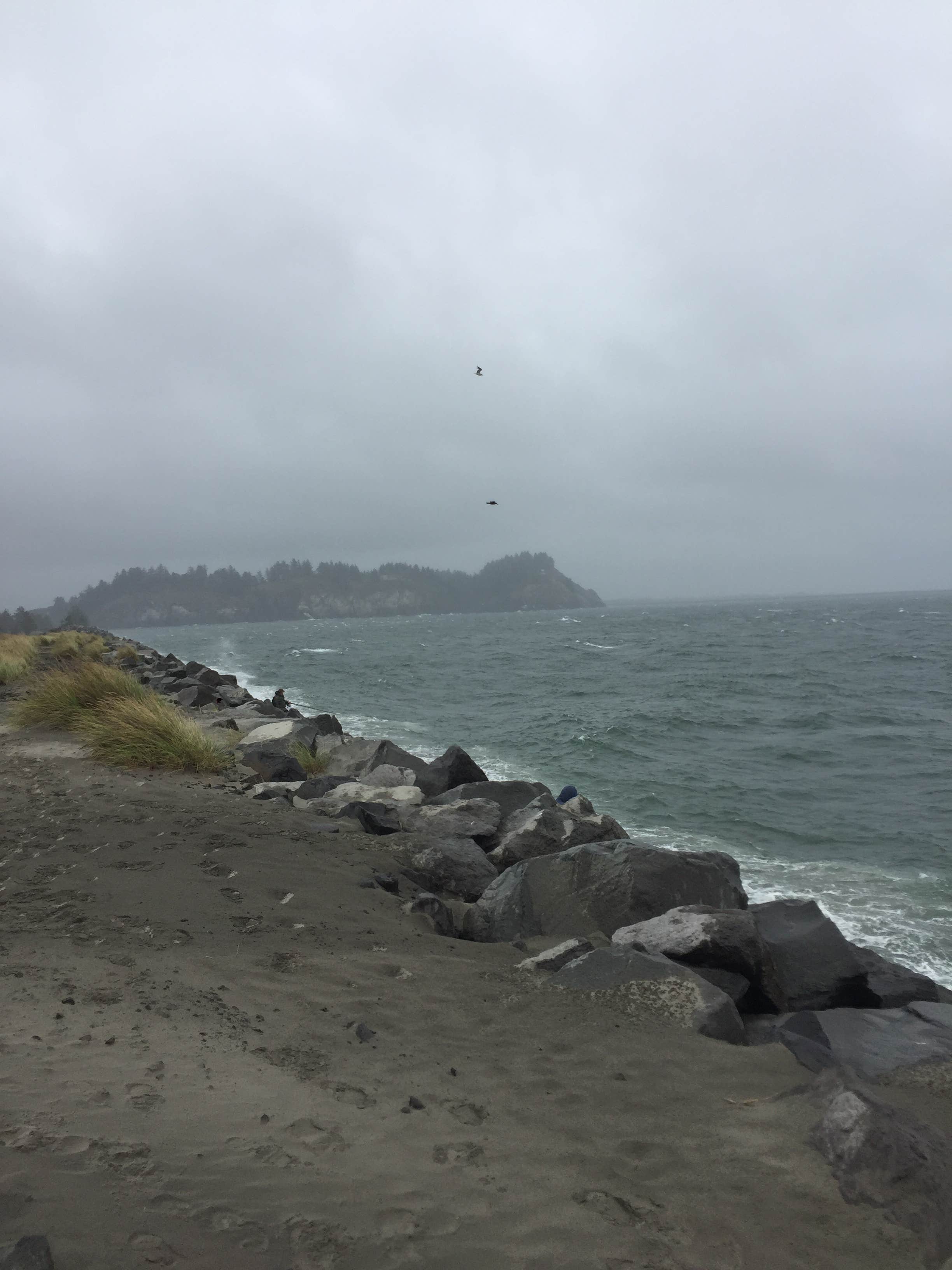 Camper-submitted photo at Cape Disappointment State Park Campground in Washington