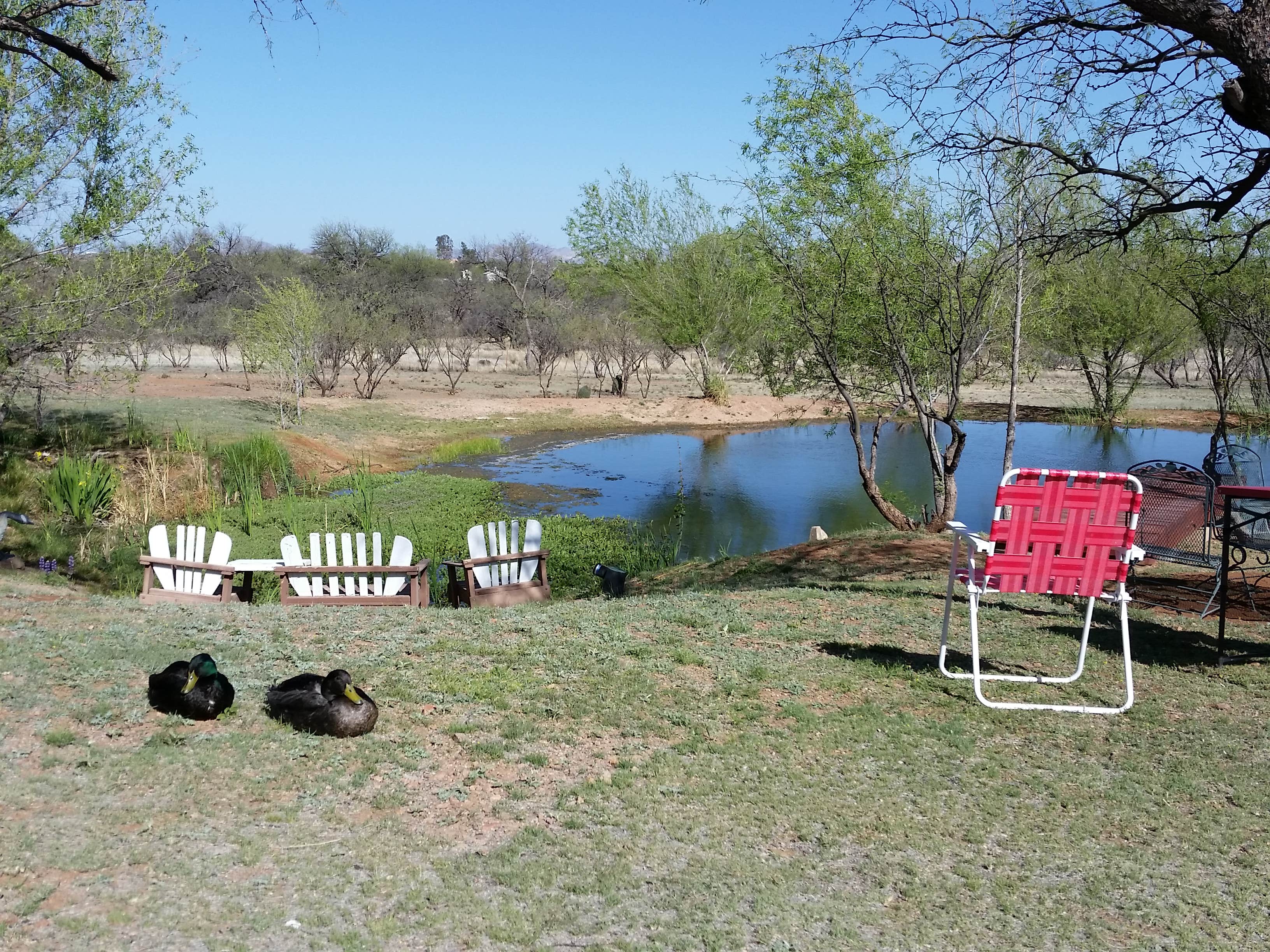 Camper-submitted photo at La Siesta Campgrounds near Arivaca, AZ