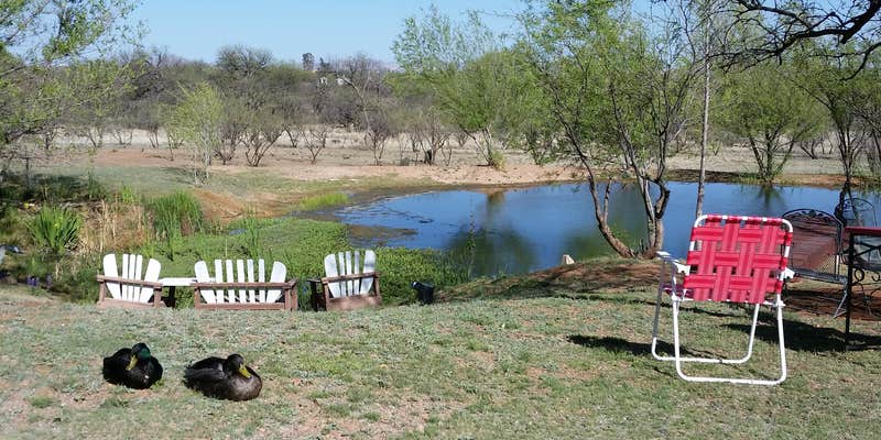 Camper submitted image from La Siesta Campgrounds