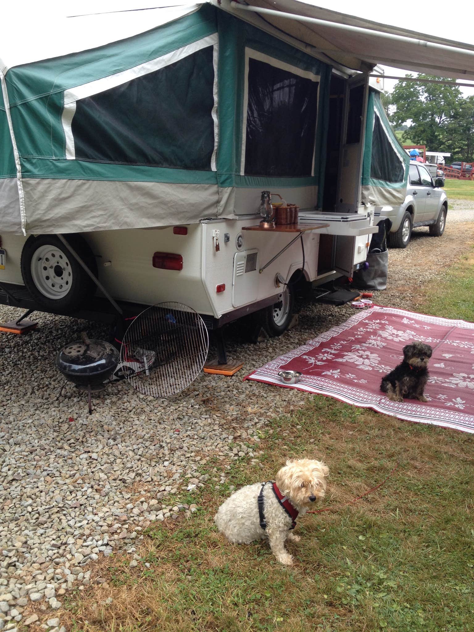 Camper-submitted photo at Peaceful Valley Campground near Slippery Rock, PA