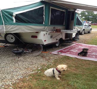 Camper-submitted photo from Peaceful Valley Campground