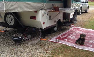 Joan K.'s photo of camping with pets at Peaceful Valley Campground near Rouseville, PA