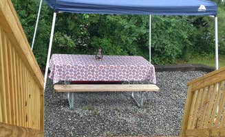 Joan K.'s photo of camping with pets at Rose Point Park Cabins & Camping near Creighton, PA