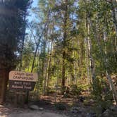 Review photo of Lincoln Creek Dispersed Campground by Hannah F., August 19, 2020