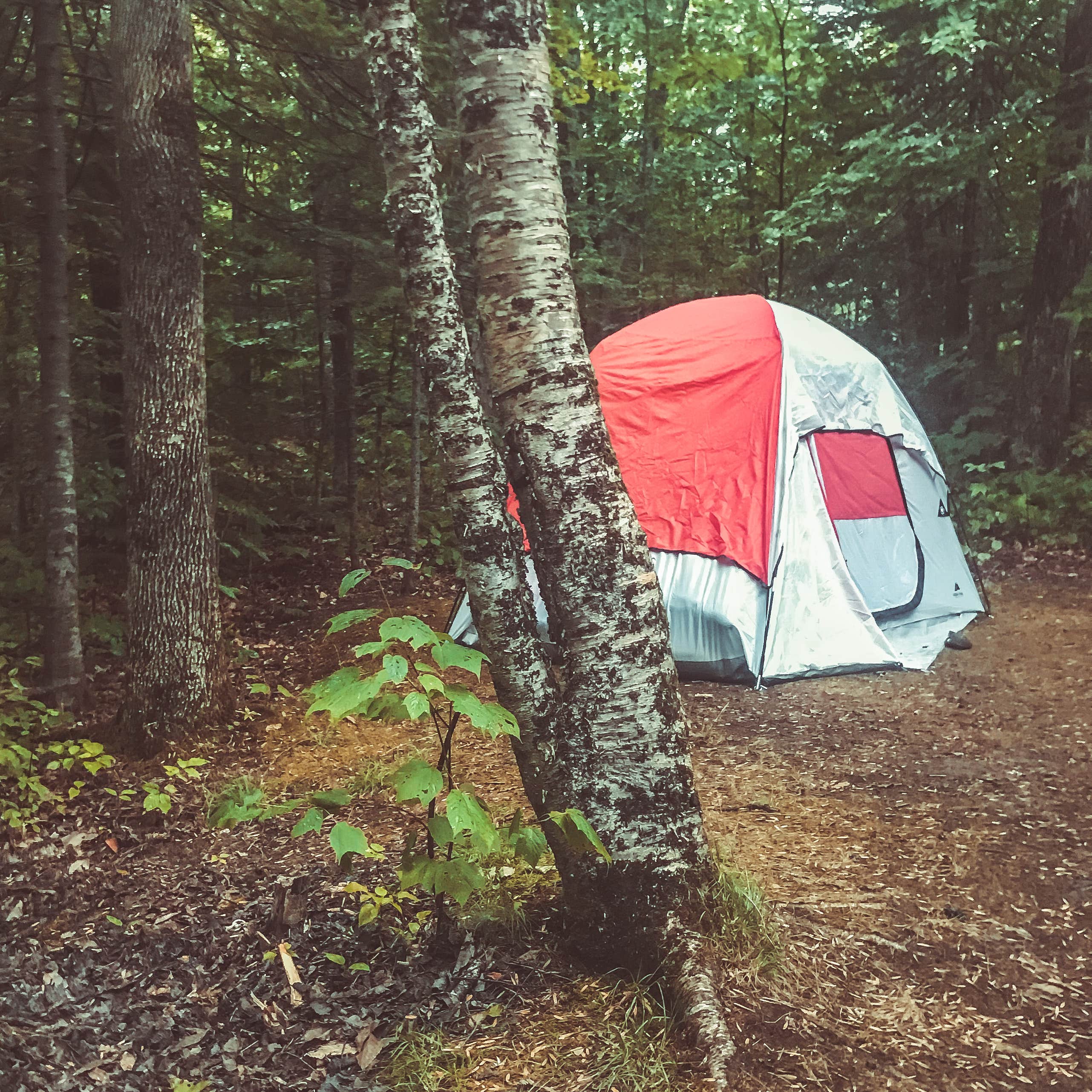 Sandie N.'s photo at Mount Blue State Park Campground in Maine