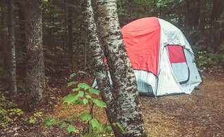 Sandie N.'s photo at Mount Blue State Park Campground in Maine