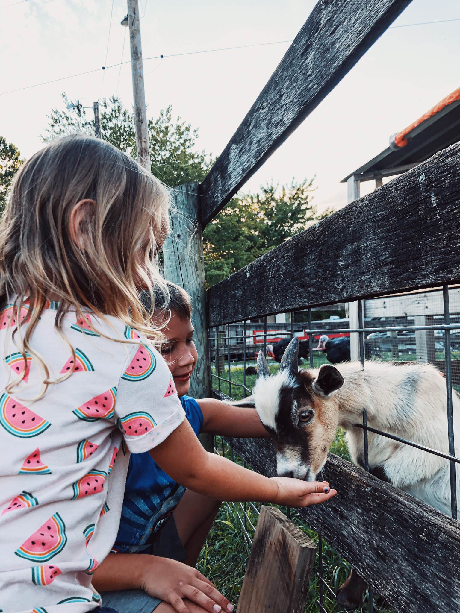 Kasey M.'s photo of camping with pets at Thousand Trails Gettysburg Farm near Peach Glen, PA