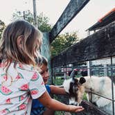 Review photo of Thousand Trails Gettysburg Farm by Kasey M., August 19, 2020