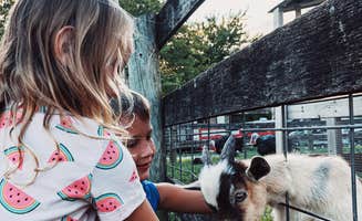 Kasey M.'s photo of camping with pets at Thousand Trails Gettysburg Farm near Harrisburg, PA
