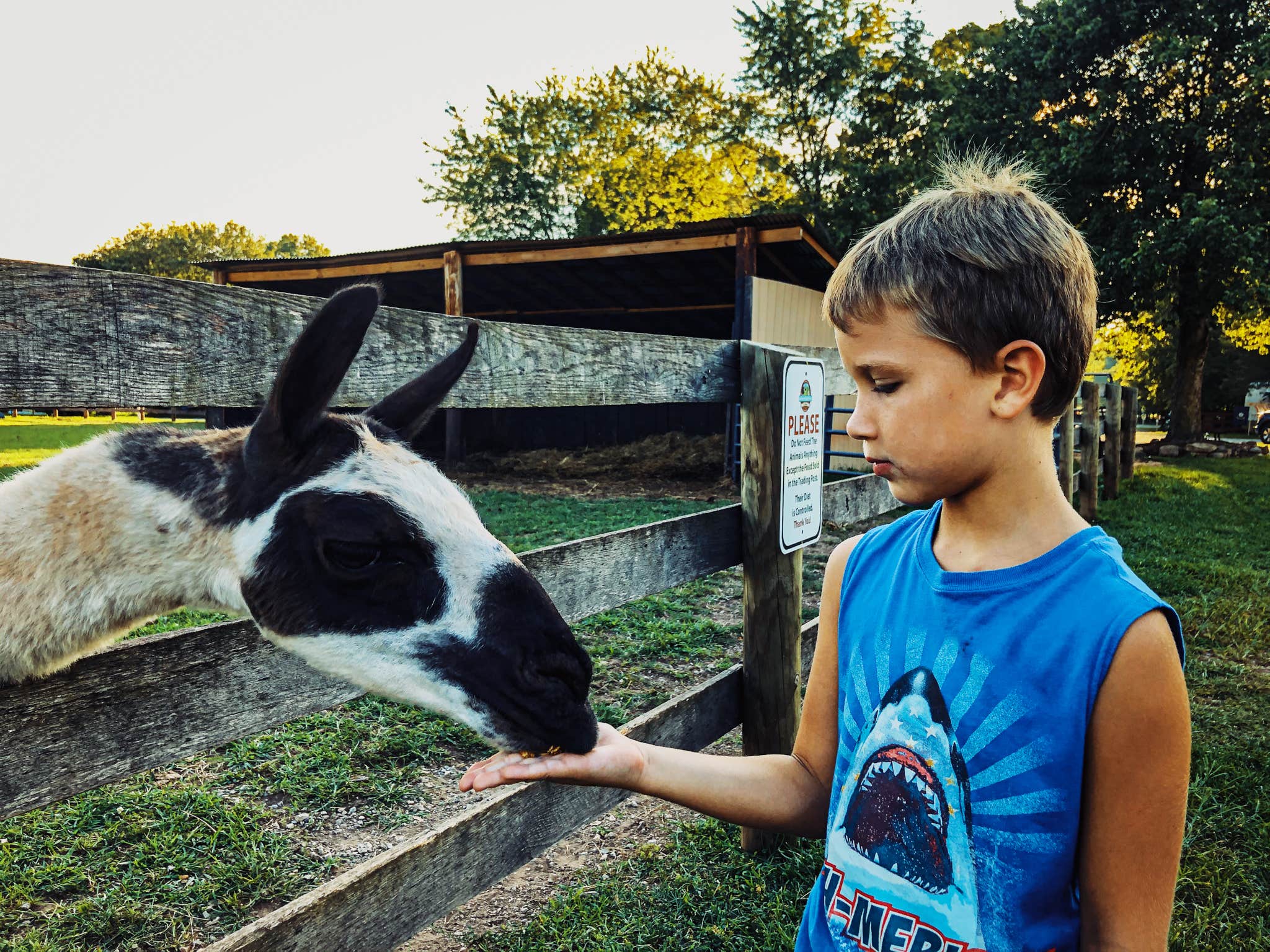 Kasey M.'s photo of camping with pets at Thousand Trails Gettysburg Farm near New Freedom, PA
