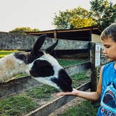 Review photo of Thousand Trails Gettysburg Farm by Kasey M., August 19, 2020