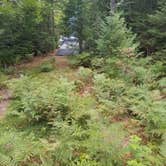 Review photo of JoeIda Campground by Lydia T., August 19, 2020