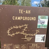 Review photo of Dixie National Forest Te-ah Campground by Marisa P., August 19, 2020