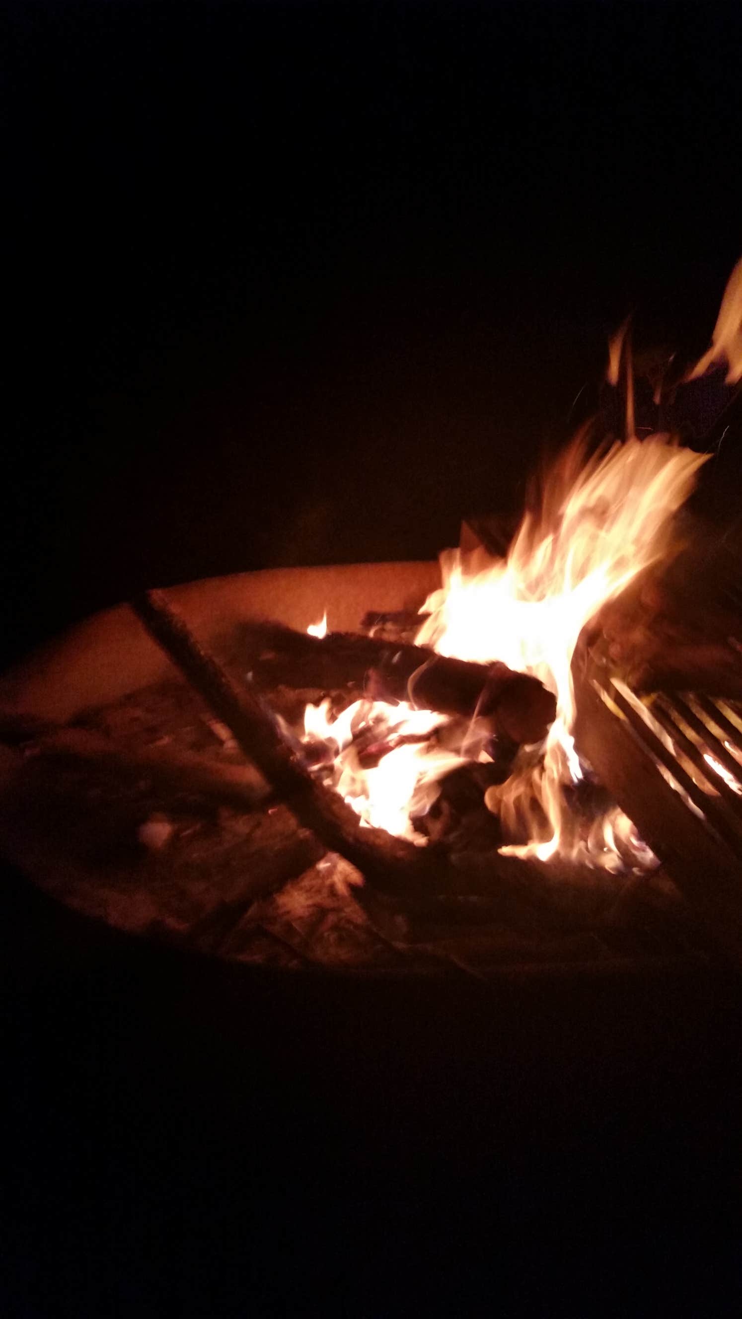 Camper submitted image from Raccoon Ridge — Harry S Truman State Park - 4