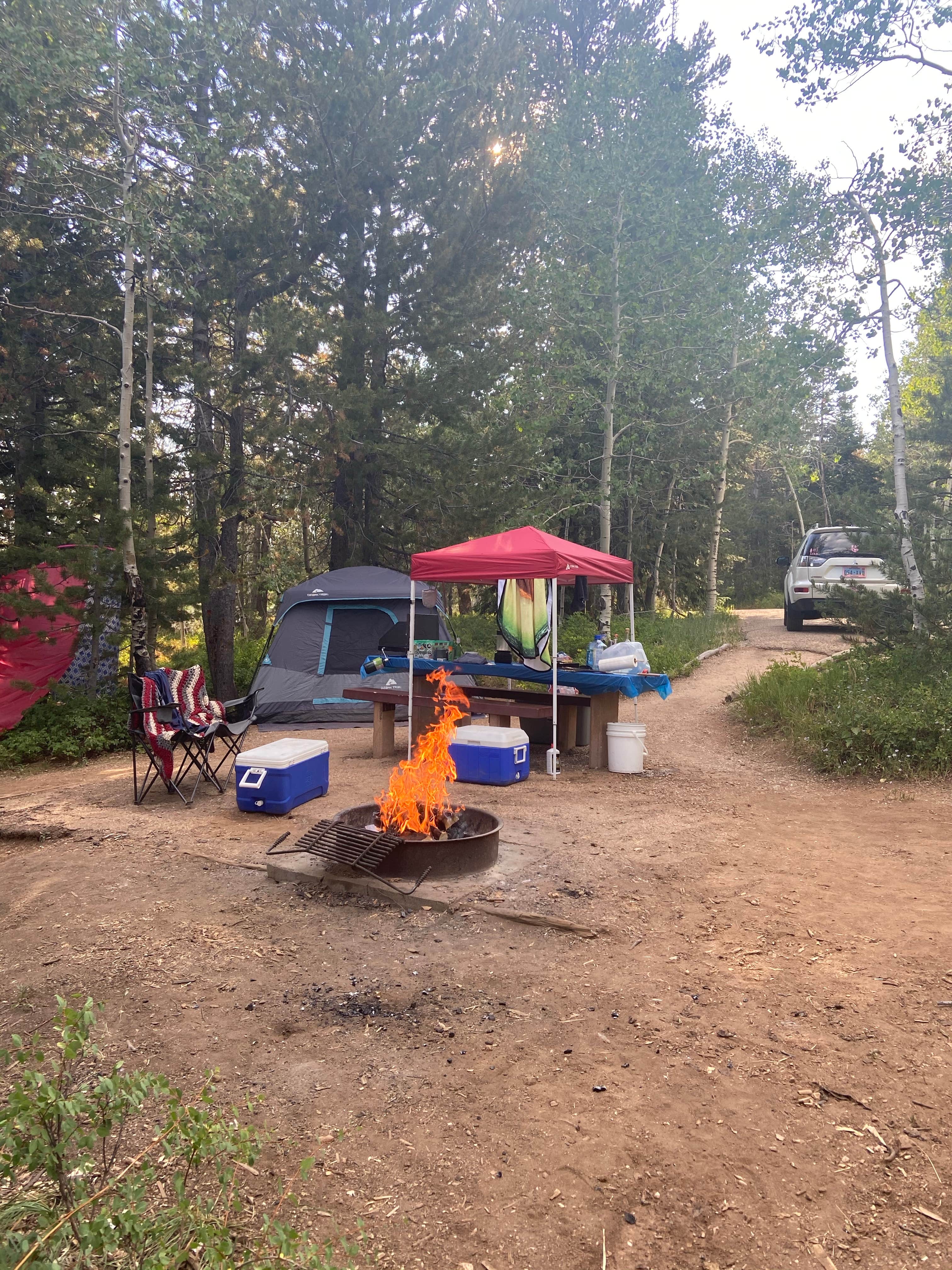 Marisa P.'s photo at Dixie National Forest Te-ah Campground near Brian Head, UT