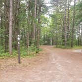 Review photo of Kingston Lake State Forest by Lydia T., August 19, 2020