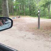 Review photo of Kingston Lake State Forest by Lydia T., August 19, 2020