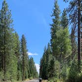 Review photo of Crater Lake Resort by Linda L., August 19, 2020