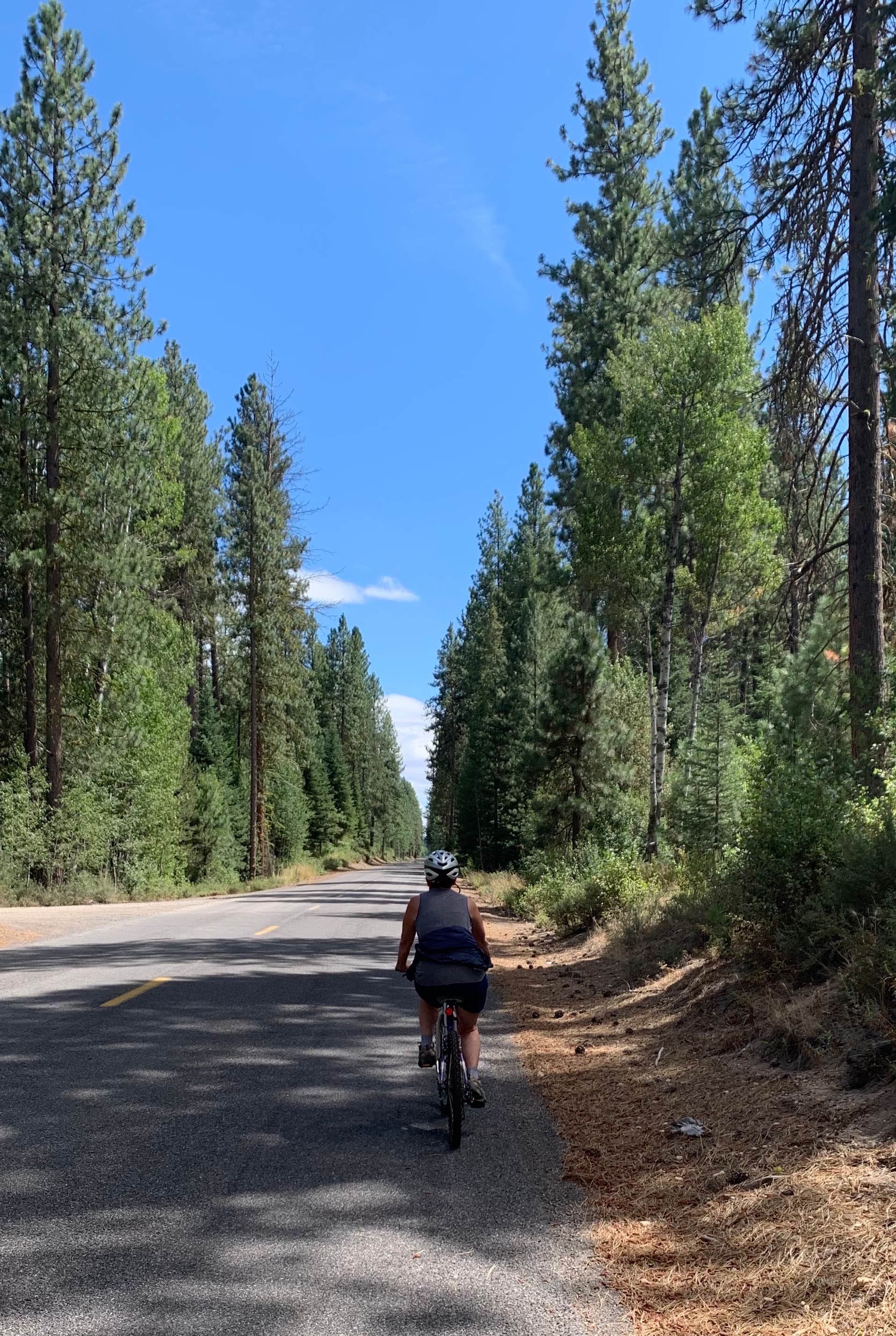 Camper submitted image from Crater Lake Resort - 2