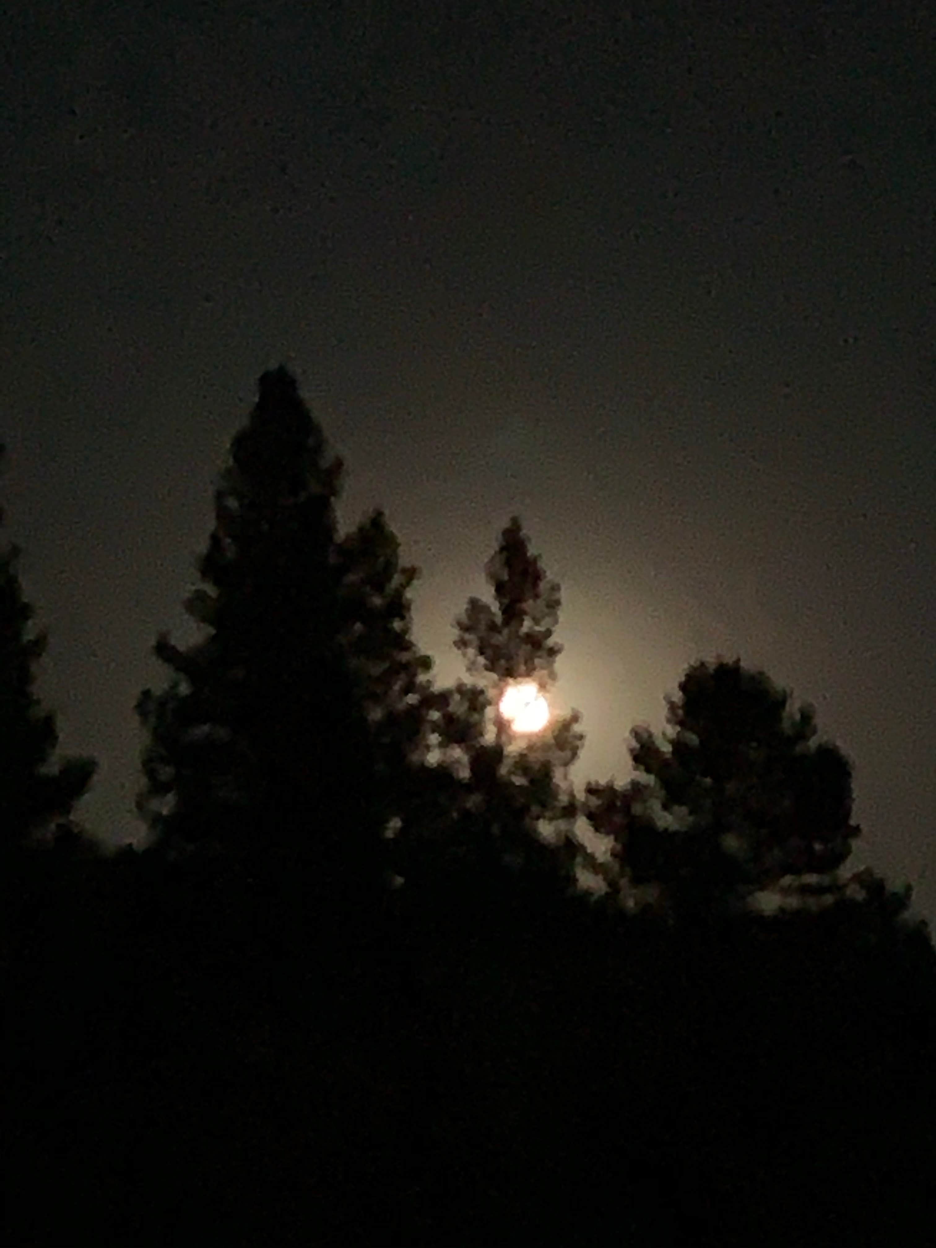 Camper-submitted photo at Crater Lake Resort near Fremont-Winema National Forest