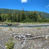 Review photo of Hoh Rain Forest - Olympic National Park by Ann P., August 19, 2020