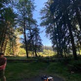 Review photo of Hoh Rain Forest - Olympic National Park by Ann P., August 19, 2020