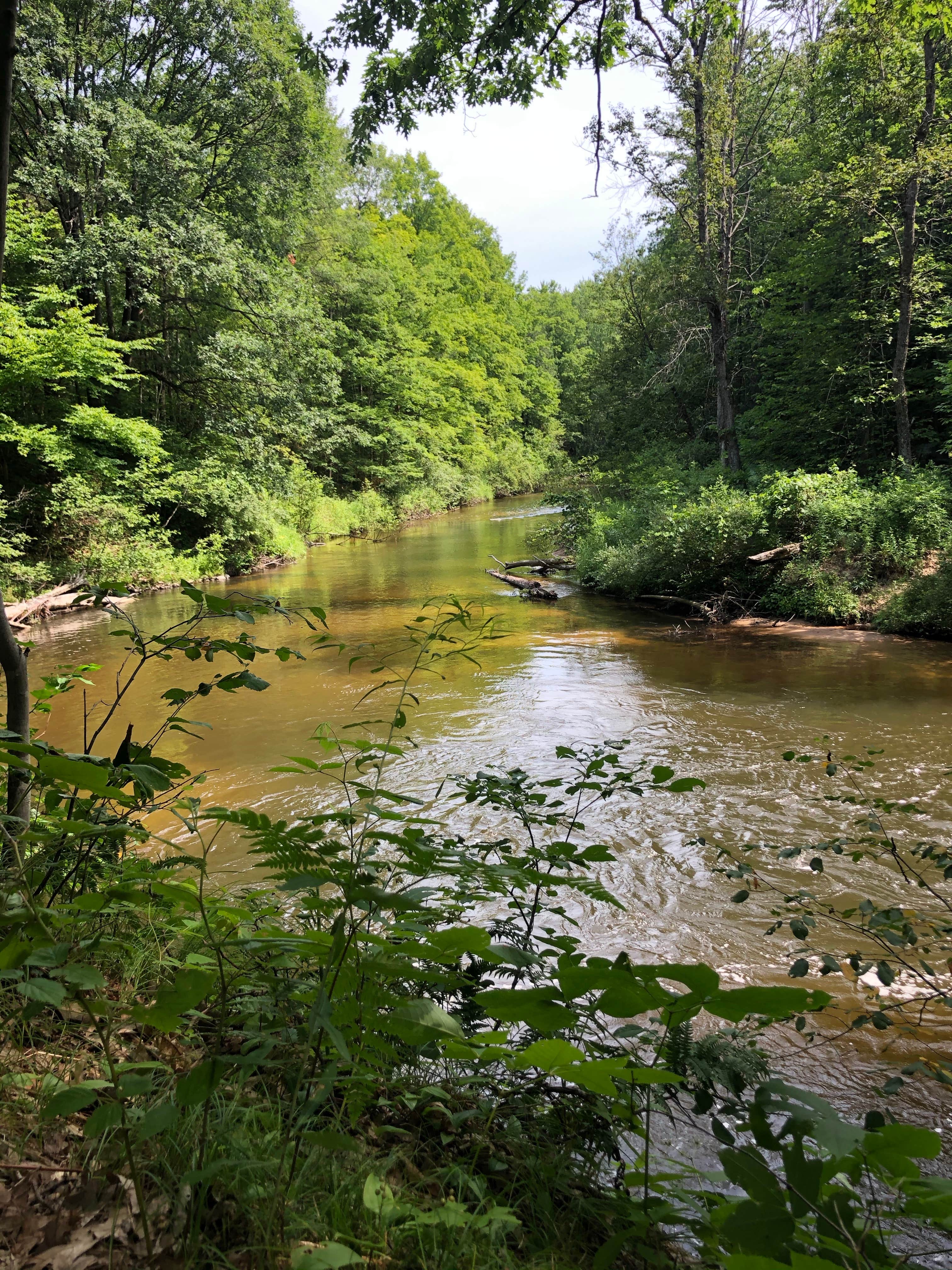 Camper-submitted photo at Silver Creek State Forest Campground near South Branch, MI
