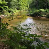 Review photo of Silver Creek State Forest Campground by Marisa B., August 19, 2020