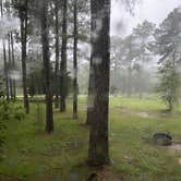 Review photo of Yogi Bear’s Jellystone Park Camp Resort - Alabama Gulf Coast by Jaimee D., August 19, 2020