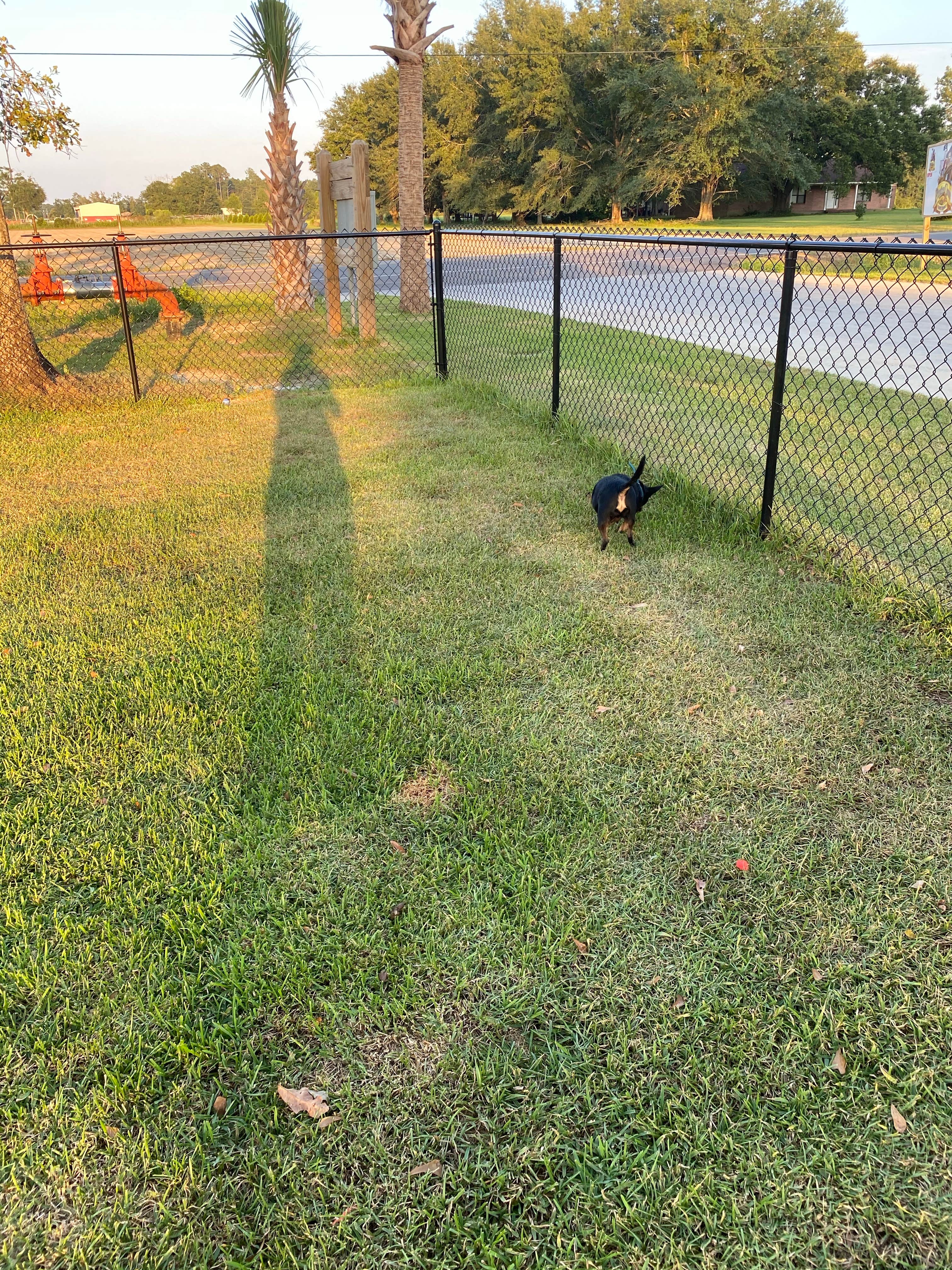Jaimee D.'s photo of camping with pets at Pirates Cove RrrrV Park near Grand Bay, AL